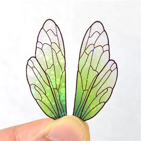  Zeugopterus -  A Miniature Marvel With Shimmering Wings That Could Easily Pass For Tiny Jewels!